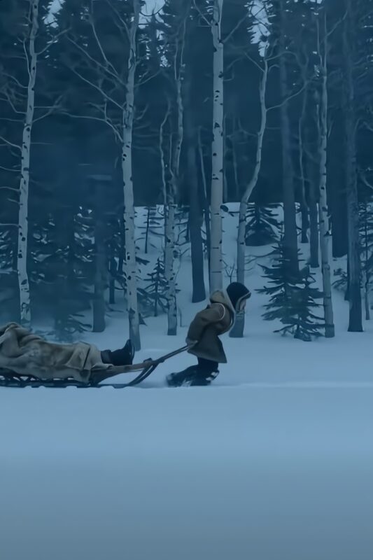 Vos penkerių metų Aidenas per pūgą leidosi į pavojingą kelionę, kad išgelbėtų savo senelį. Tai, ką gelbėtojai rado jo kelionės pabaigoje, paliko visus be žado...