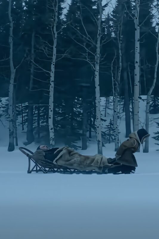 Vos penkerių metų Aidenas per pūgą leidosi į pavojingą kelionę, kad išgelbėtų savo senelį. Tai, ką gelbėtojai rado jo kelionės pabaigoje, paliko visus be žado...